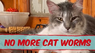 Natural Way to Worm Cats And Rid Intestinal Parasites Fast [upl. by Sihtnyc]