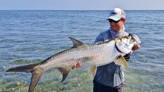 Fly Fishing Jardines de la Reina Cuba February 2019 [upl. by Namreh]