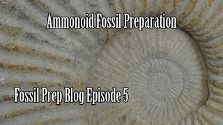 Cleaning an Ammonoid Fossil [upl. by Bozuwa]