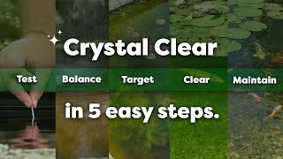 The 5 Step Routine for a Healthy amp Clear Pond Envii Product Guide [upl. by Bethel312]