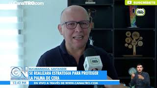 Realizarán estrategias para proteger la palma de cera [upl. by Miko]