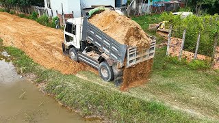 Perfectly In New Project Rebuilding Old Road Using Skill Dozer With 5 T Dump Truck Working [upl. by Nrubyar564]