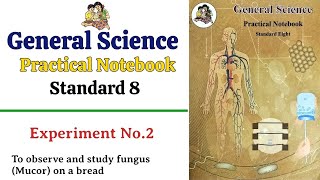 Experiment No2  Class 8th General Science practical Notebook answers  balbharti Science practical [upl. by Haimes773]