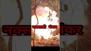 The Secret Military Songs of Naxalites [upl. by Nnahtur105]