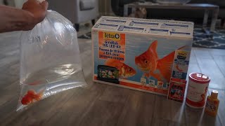 GOLDFISH ONLY AQUARIUM SETUP [upl. by Leasia180]