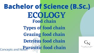 Food chain  Types of food chain  Grazing Detritus and Parasitic Food chain For BSc Students [upl. by Naor]