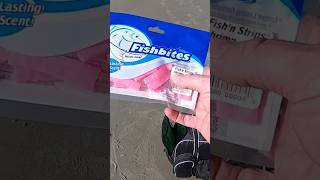 Fishbites for Surf Fishing beach saltwater bait beginner howto easy shrimp fish vacation [upl. by Enileuqcaj]