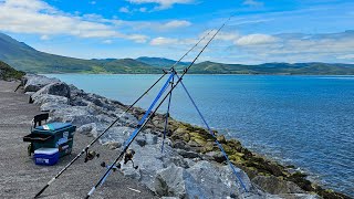 Fishing Fenit Pier  West Coast  Republic of Ireland [upl. by Dranreb499]