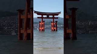 Miyajima also known as Deer Island near Hiroshima Japan is also known for its torii gate [upl. by Hanforrd]