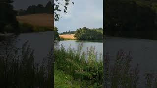 Himley park dudley england youtubeshorts fypシ゚ [upl. by Eisac]