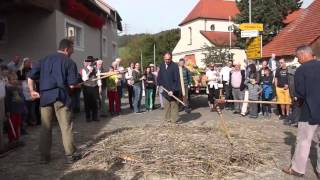 Drusch mit Dreschflegel 1200 Jahrfeier Birndorf Erntedank [upl. by Nare]