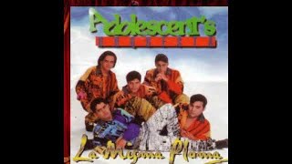 Adolescents Orquesta  Confesiones Audio Oficial [upl. by Yesteb921]