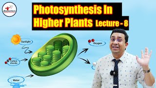 Photosynthesis in Higher Plants l Lecture 8 l Biology l NEET [upl. by Frulla]