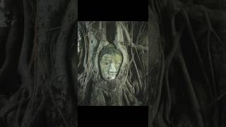 Story of Buddha buddha gautambuddhabuddhism budhhastorybudhist budhhaquotesbuddhateachings [upl. by Ylla]