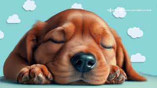 Breathing Sounds  Puppy Music for Relaxation Calming Sounds for Stressed Dogs and Puppies [upl. by Nidnerb]