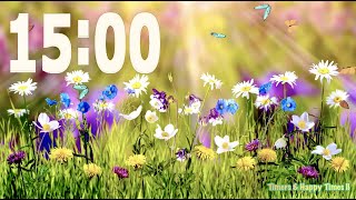 15 Minute Spring 🦋🌼Countdown Timer 🎼 Cuenta Regresiva de 15 Minutos [upl. by Okiron]