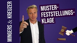 Musterfeststellungsklage FragMingers 2018 [upl. by Eimas802]