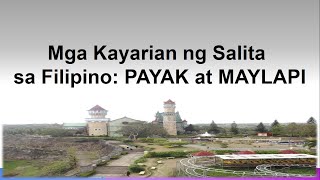 Kayarian ng mga Salita sa Fiipino PAYAK at MAYLAPI [upl. by Hanoy]