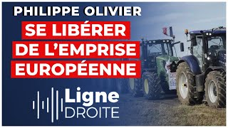 Libre échange en Europe  quotcest une catastrophe pour nos agriculteurs quot  Philippe Olivier [upl. by Aniles496]