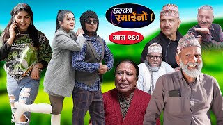 Halka Ramailo  हल्का रमाईलो  Episode 260  08 Dec  2024  Balchhi Dhurbe  Nepali Comedy [upl. by Chrisse128]