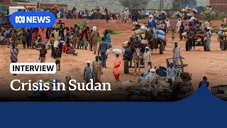 Widespread violence in Sudan displaces 14 million people  ABC NEWS [upl. by Garrot]