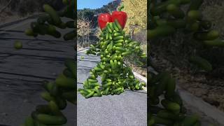 Fruit on the right touch🍓🥔🍅3D Special Effects 3D Animation shorts vfxhd cartoon Rahulffzzz [upl. by Alleram]