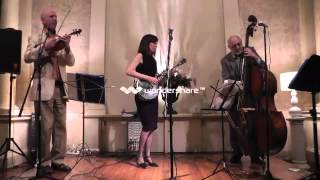 Cynthia Sayer Trio featuring Matt Glaser  quotBad Little Banjoquot [upl. by Yecad]