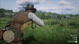 Red Dead Redemption 2 Master Hunter Challenge 4 [upl. by Koetke445]