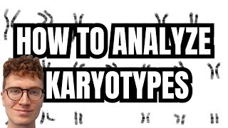 KARYOTYPE ANALYSIS [upl. by Nevaed]