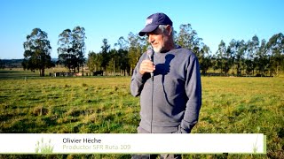 Introducción de Bromus auleticus en cobertura sobre campo natural [upl. by Gerger]