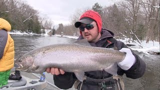 Salmon River Steelhead Fishing [upl. by Anavoig]