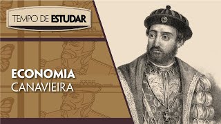 Economia canavieira  Tempo de Estudar  História  7º ano [upl. by Atirabrab]