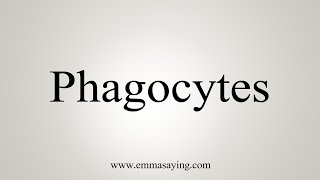 How To Say Phagocytes [upl. by Anerom771]