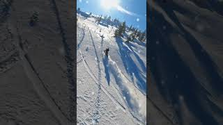 Want the BEST Skiing Experience in Utah Watch This Now [upl. by Bilbe607]