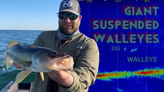 Video Gaming BIG Suspended Walleyes using Garmin Livescope [upl. by Colinson]