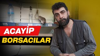 ACAYİP  “ BORSACILAR [upl. by Dreda78]