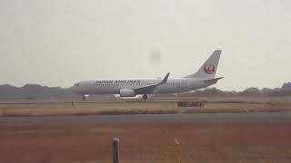 日本航空 JAL ボーイングB737800 JA330J JL236 東京（羽田）行き 【岡山桃太郎空港】 [upl. by Offen]