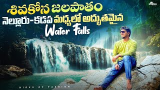 అడవి మధ్యలో భయంకరమైన WATER FALLS😱 trending [upl. by Adnahsal946]