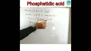 Phosphatidic Acid PA [upl. by Trinatte]