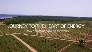 Journey to the heart of Energy  How a biomass power plant works [upl. by Jarita49]