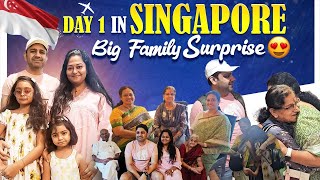 Ep1 Singapore Family Suprise Visa amp Flight Cost Marina Bay Merlion Little India China Market [upl. by Nnaitsirk]