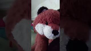 Leo my fox toy [upl. by Marylin]