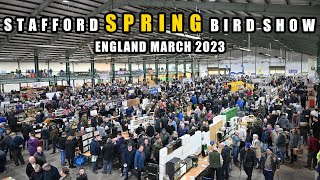 Bird Show in the UK  Stafford Bird Show March 2023 4K [upl. by Staten]