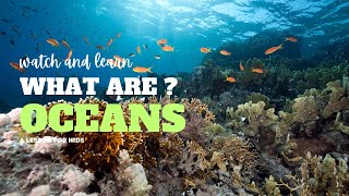 What Are Oceans  A Lesson On Oceans For Kids  Five Oceans Of The World For Kids [upl. by Antipas]