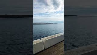 A Beautiful Morning for Fishing at Tathra Wharf takemefishing fishingaustralia fishing [upl. by Ettezzus]