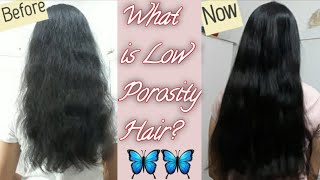 What is Low Porosity Hair How to make Them Silky and Shiny  Full Haircare Routine  Glow Yourself [upl. by Nosro]