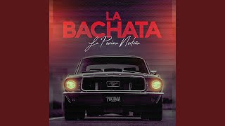 La Bachata [upl. by Alahc]