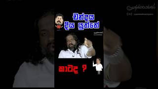 චන්දය දිය යුත්තේ කාටද  Ranil Wickremesinghe Sajith Premadasa Anura Kumara Dissanayake [upl. by Boris]