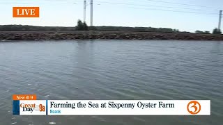 Sixpenny Oyster Farm [upl. by Ekaj173]