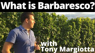 What Is Barbaresco Wine [upl. by Pepin276]